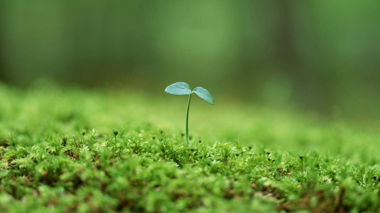 快手平台24小时秒单业务平台-抖音点赞自助平台最低价-KS低价自助平台-卖粉丝的平台